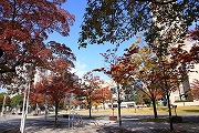 市民公園2