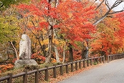 水沢地区　もみじ谷4