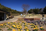 垂坂公園・羽津山緑地