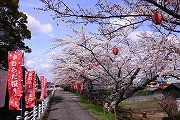 かわらだ桜まつり