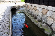 桜地区　智積養水