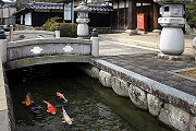 桜地区　智積養水