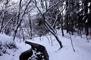 もみじ谷の雪景色