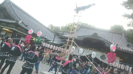 諏訪神社はしご登り披露