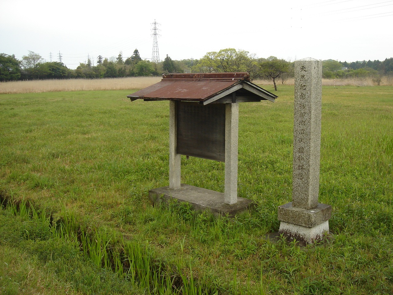 東部指定地