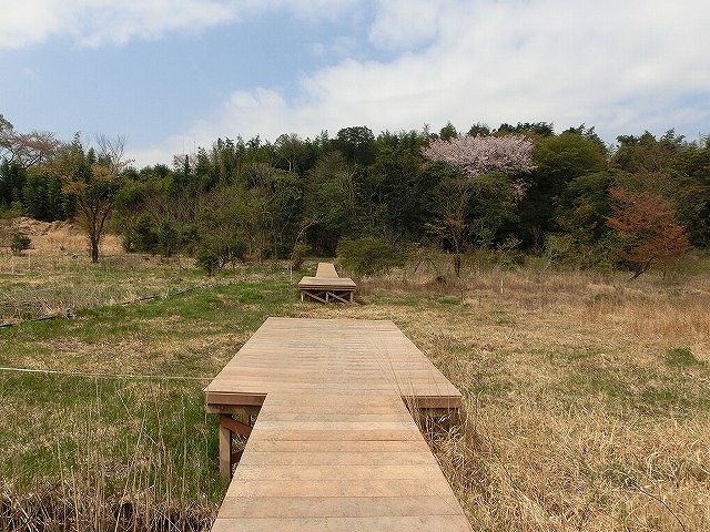 西部指定地