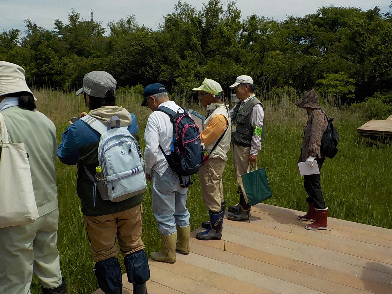 御池沼沢植物群落観察会