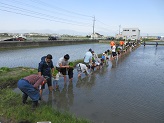 こども田植え体験写真