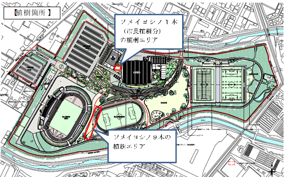 植樹会場図