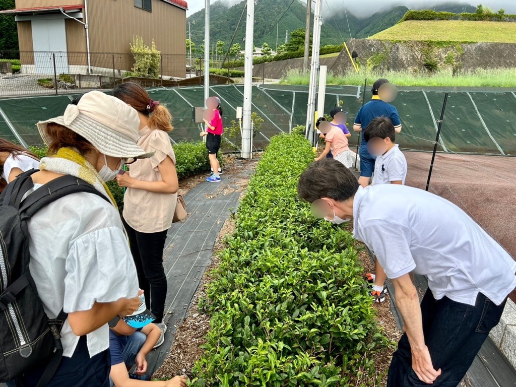 茶業振興センターでの様子