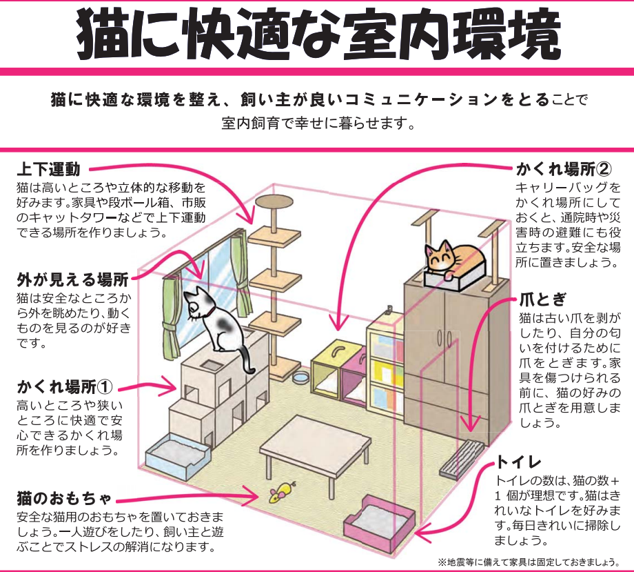猫に快適な室内環境の例
