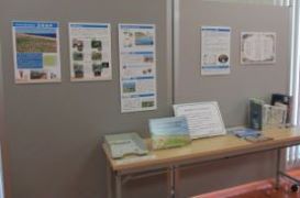 絵本や吉崎海岸の展示がある展示コーナー