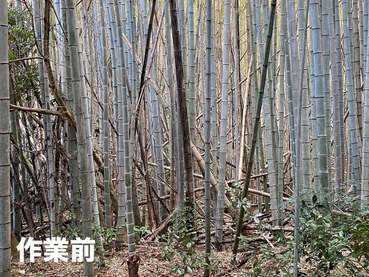 整備前